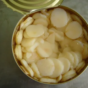 2950g Canned Water Chestnut Sliced in Tin