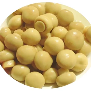400g Canned Whole Champignon Mushroom
