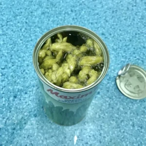 430g Canned White Green Asparagus