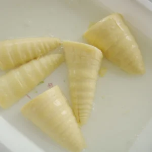 567g Canned Bamboo Shoot Halves