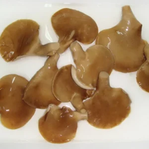 Canned Abalone Mushroom