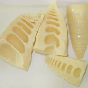 Canned Bamboo Shoots Halves in 567g