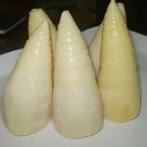 Canned Bamboo Shoots Whole 2950g