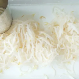 Canned Bean Sprout 400g in Easy Open Lid