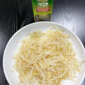 Canned Bean Sprouts