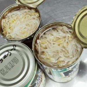 Canned Bean Sprouts