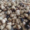 Canned Champignon Mushroom Whole Slices