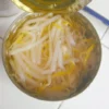 Canned Fresh Bean Sprouts