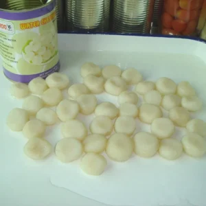 Canned Fresh Water Chestnut