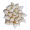 Canned Garlic