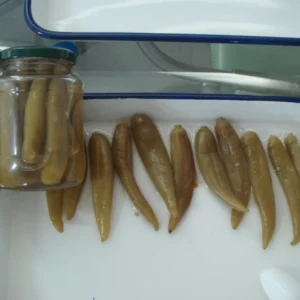 Canned Green Hot Pepper