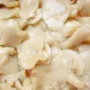 Canned Lingzhi Mushroom Bulk Canned Food