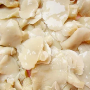 Canned Lingzhi Mushroom Bulk Canned Food