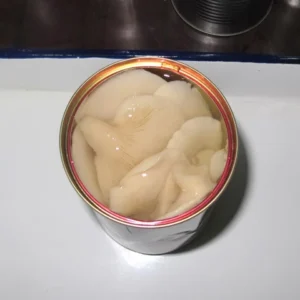 Canned Lingzhi Mushroom Canned Chinese Vegetables in Tin Packing