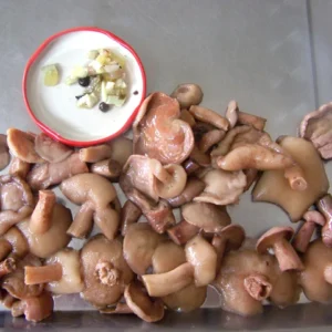 Canned Marinated Suillus Mushroom Whole in Glass Jar
