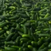 Canned Pickled Cucumber Baby