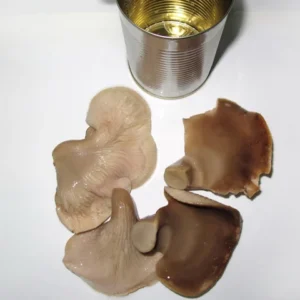 Canned Shiitake Canned Fresh Abalone Premium Whole Mushroom