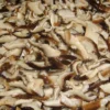 Canned Shiitake Mushroom in Strip 2840g