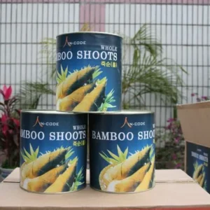 Canned Slice Bamboo Shoots in Brine