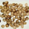 Canned Straw Mushroom Whole 425g
