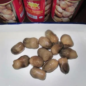 Canned Straw Mushroom Whole Size M
