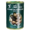 Canned Straw Mushroom in Brine