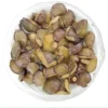 Canned Suillus Mushroom in Brine Glass Jar
