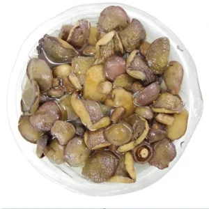 Canned Suillus Mushroom in Brine Glass Jar