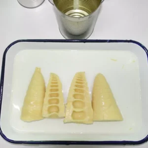 Canned Vegetable Bamboo Shoots Halves