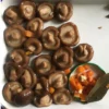 Canned Vegetable Canned Shiitake Mushroom in Brine