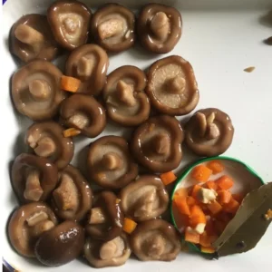 Canned Vegetable Canned Shiitake Mushroom in Brine