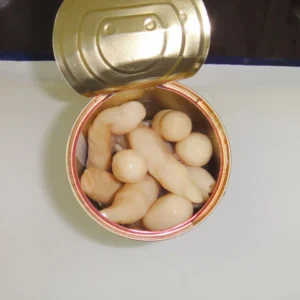 Fresh Canned Asparagus Mushroom
