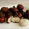 Fresh Water Chestnut Whole