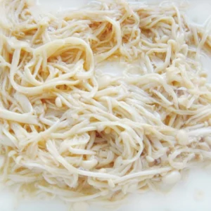 Gourmet Canned Food Canned Golden Mushroom