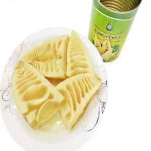 Natural Bamboo Shoots Halves in Water 567G