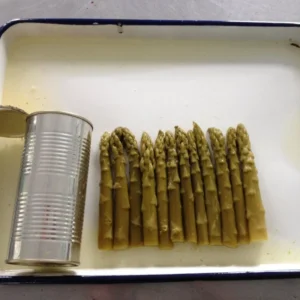Natural Canned Green Asparagus in Brine