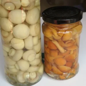 Whole Champignon Mushroom in Glass Jar